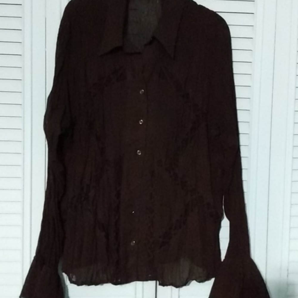 Brown sheer blouse 2X